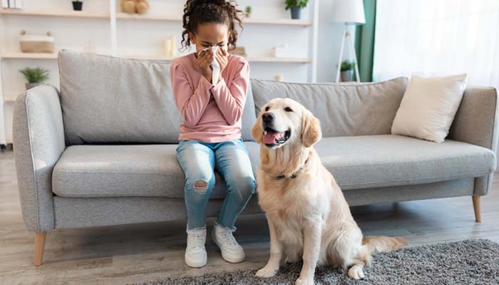 Reducing in-home allergies with HVAC maintenance